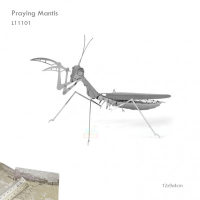 L11101 Praying Mantis